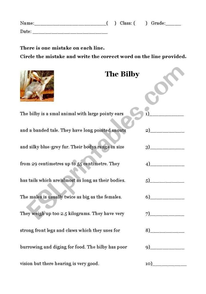 English Worksheets Proofreading The Bilby 