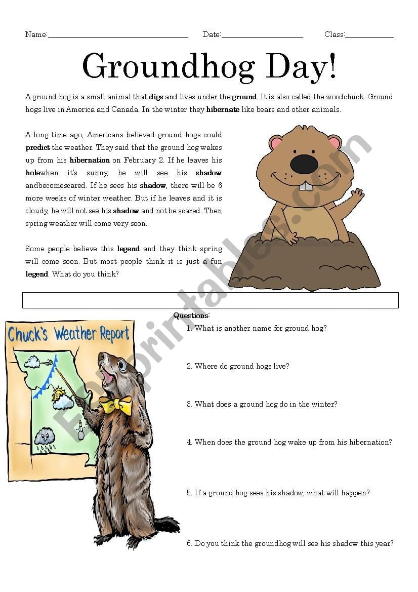 Groundhog Day Reading Comprehension ESL Worksheet By Mrsemi