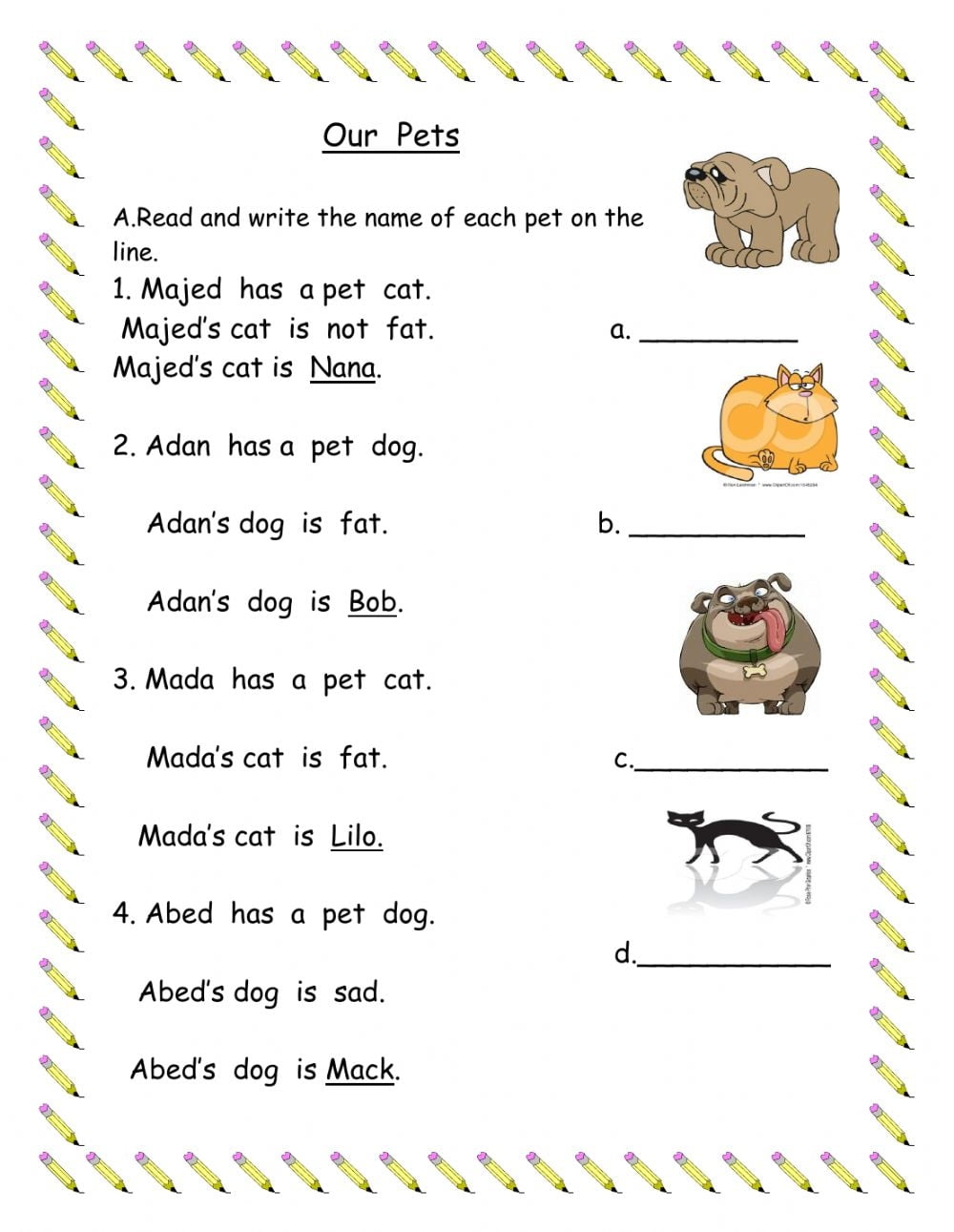 Our Pets Worksheet