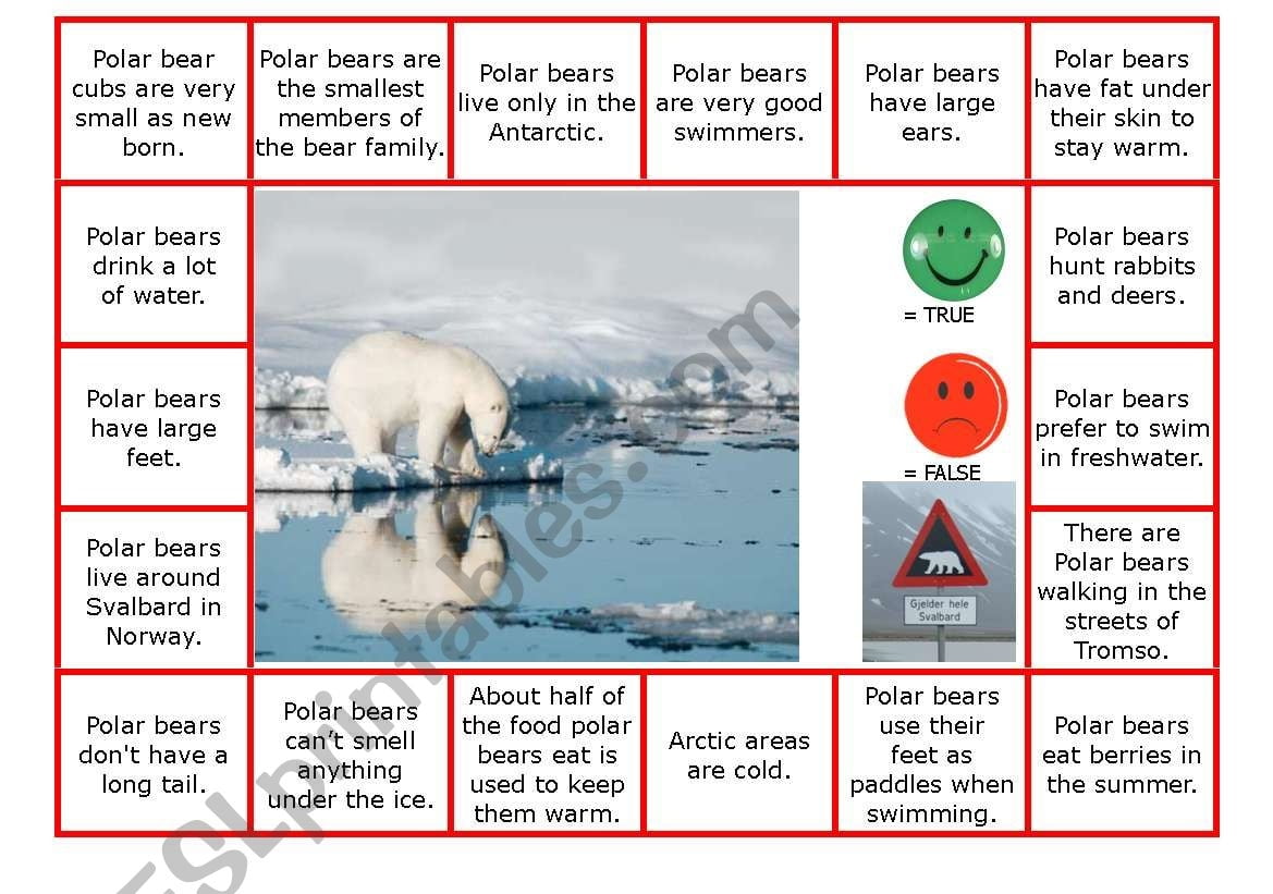 Polar Bear Reading Comprehension Worksheets Free Printable