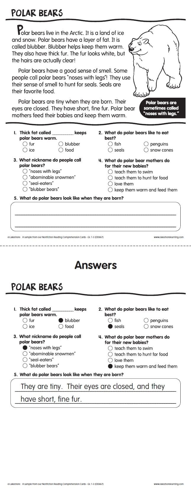 Polar Bears Reading Comprehension Passage From Lakeshore Learning Test Kids Compre Reading Comprehension Passages Reading Comprehension Comprehension Passage