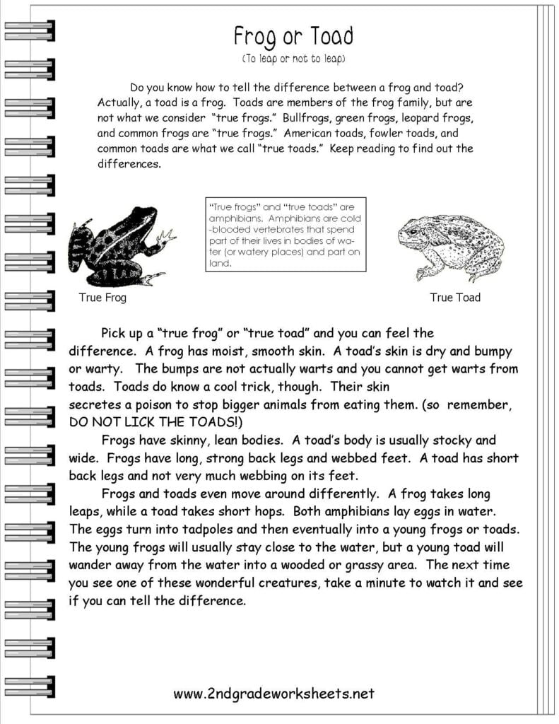 Reading Informational Text Worksheets Text Features Worksheet 2nd Grade Reading Worksheets Text Structure Worksheets