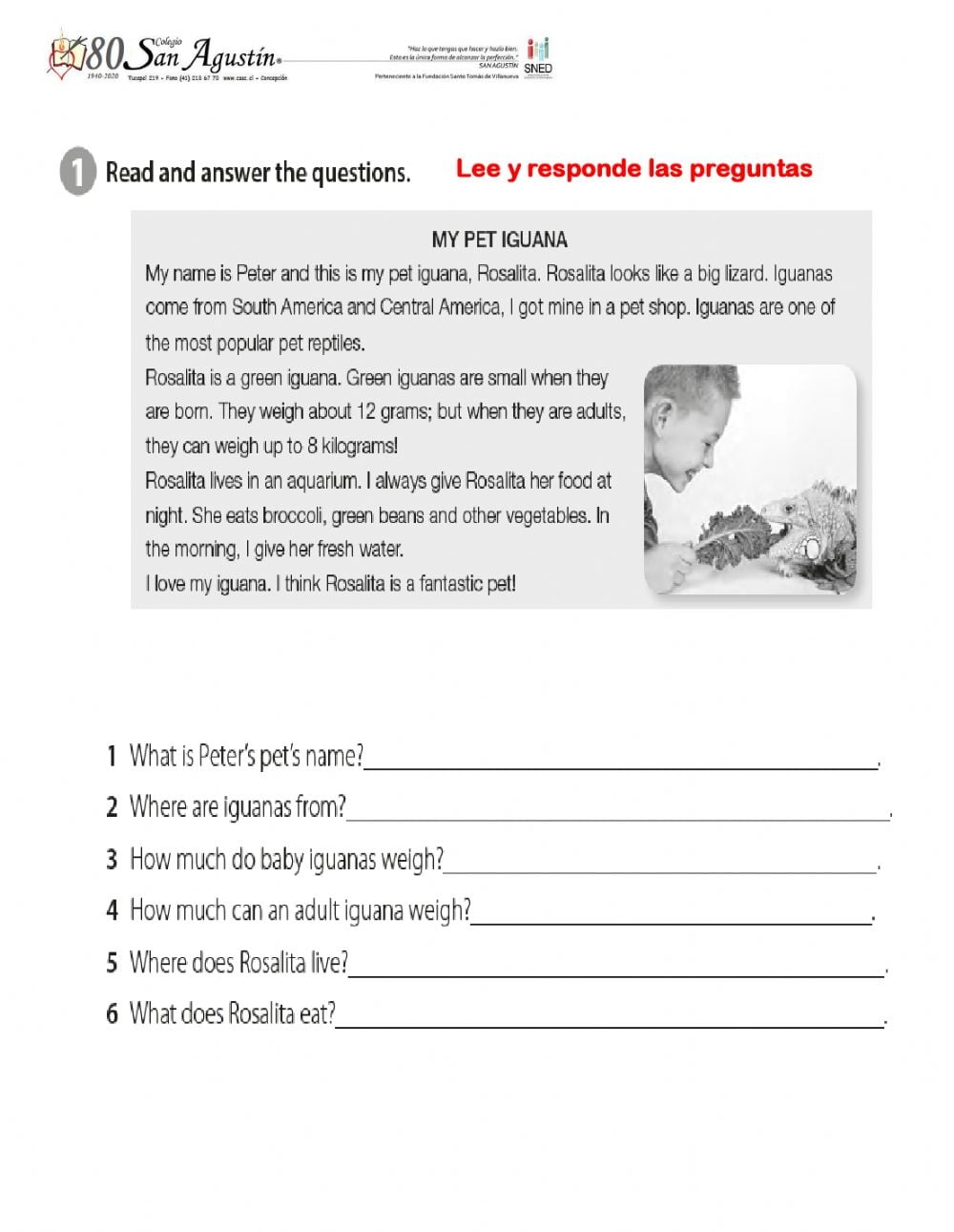 Reading Printable Worksheets For 5th Grade