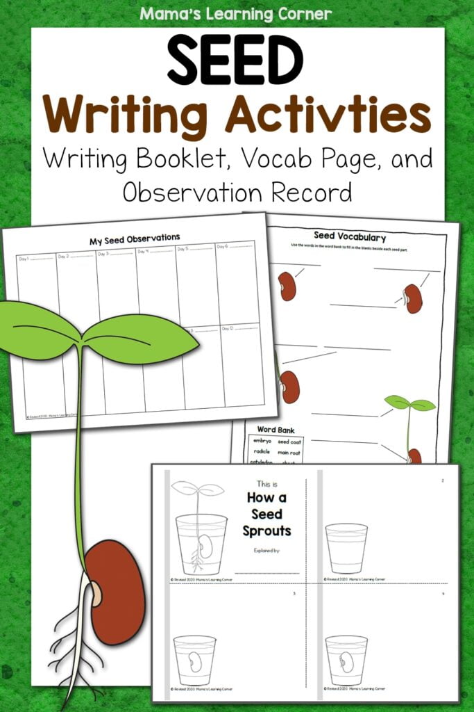Seed Writing Activities Mamas Learning Corner