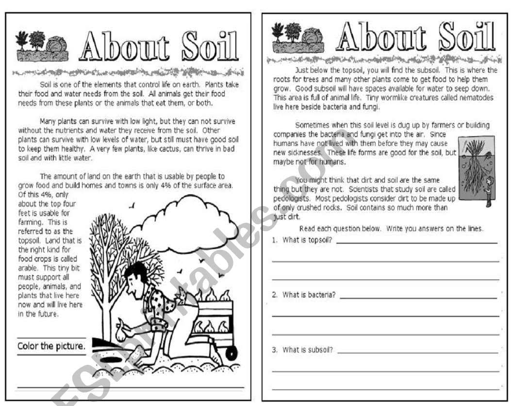 About Soil science For Kids ESL Worksheet By Val02