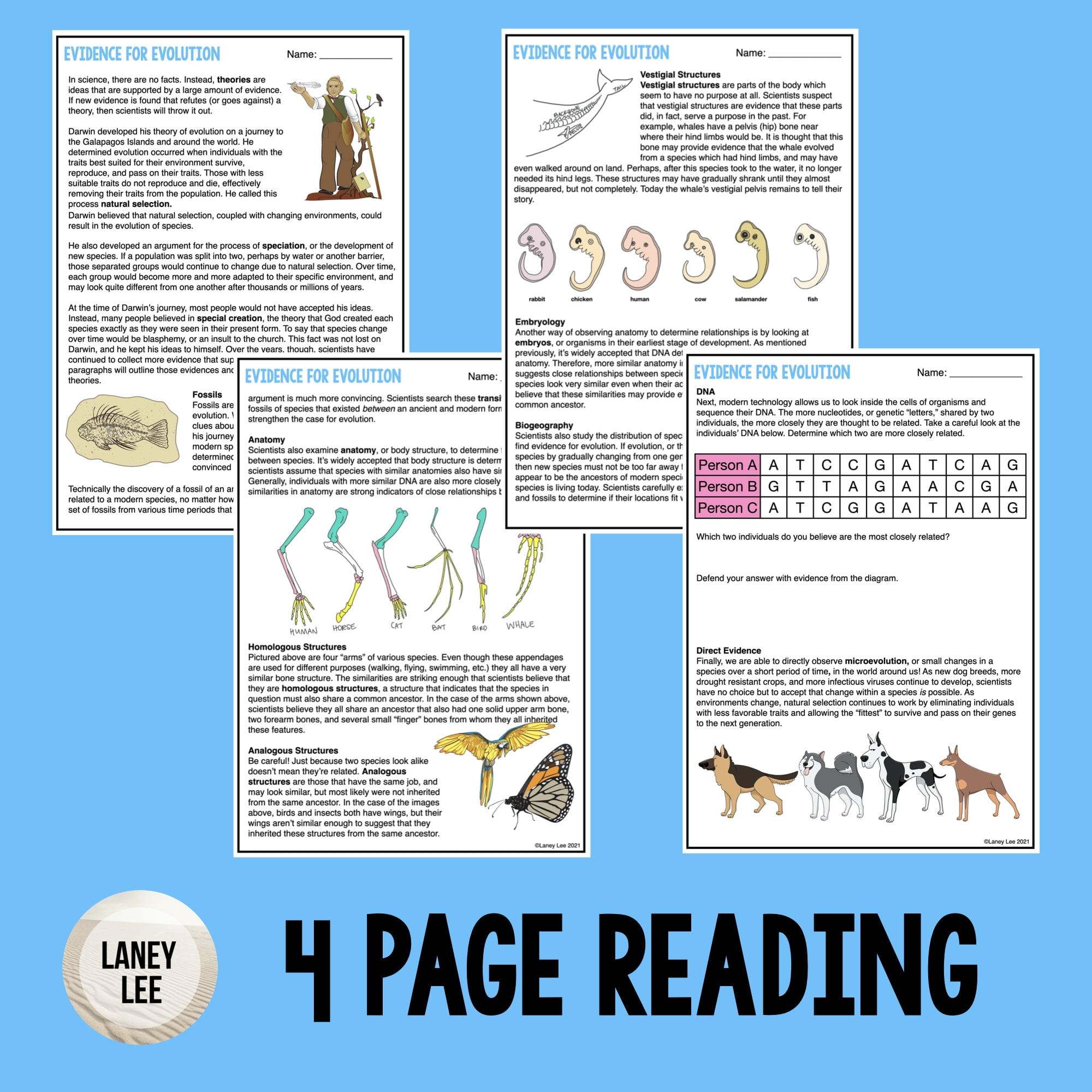 Evidence For Evolution Reading Worksheets PDF Digital Versions