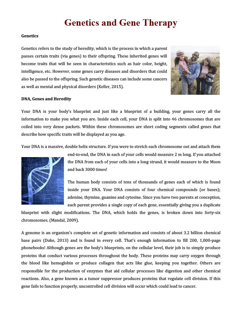 Genetics And Gene Therapy Reading Comprehension Article By Teach Simple