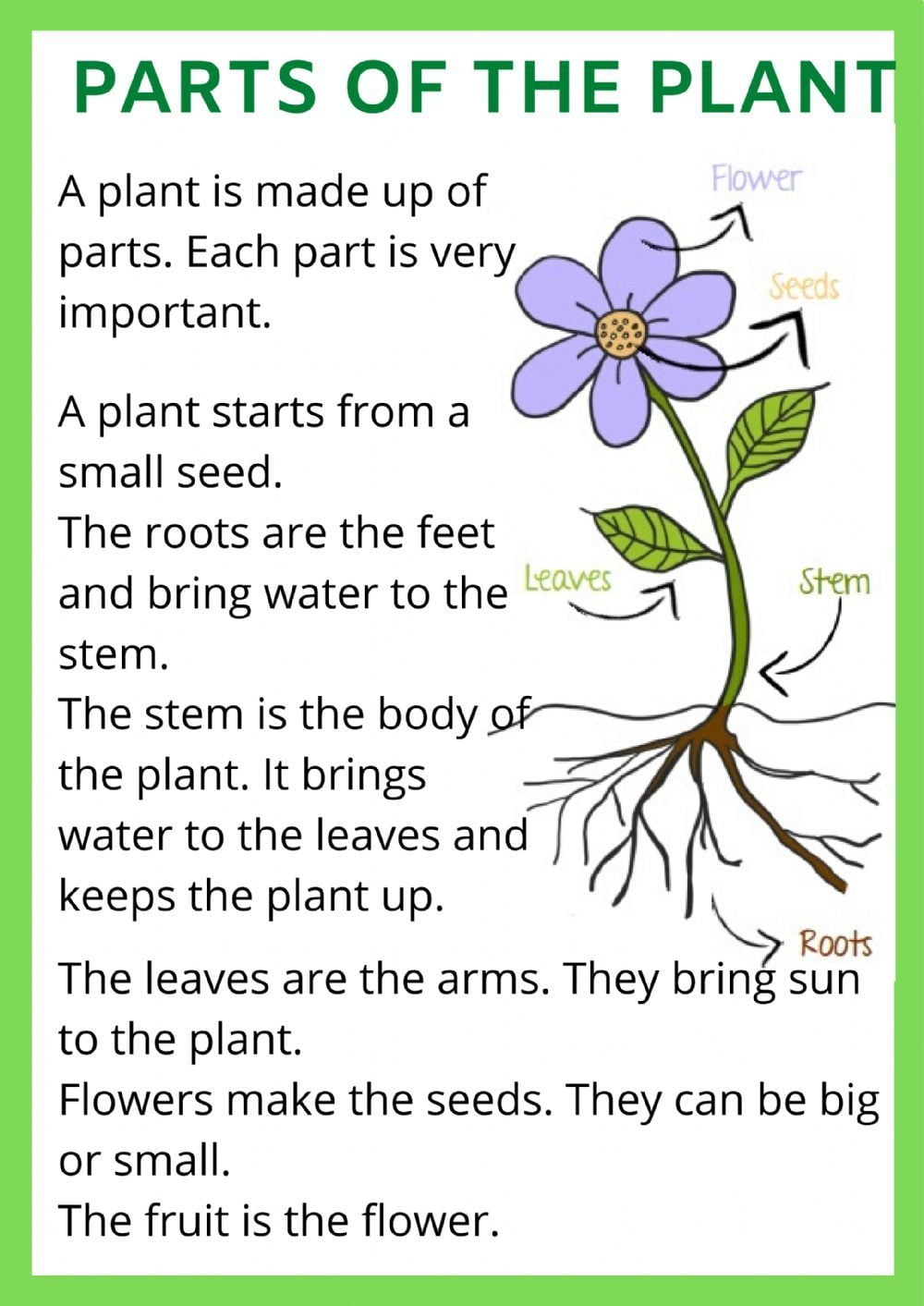 Parts Of A Plant Interactive And Downloadable Worksheet You Can Do The Exercises Onl Reading Comprehension For Kids English Lessons For Kids Plants Worksheets