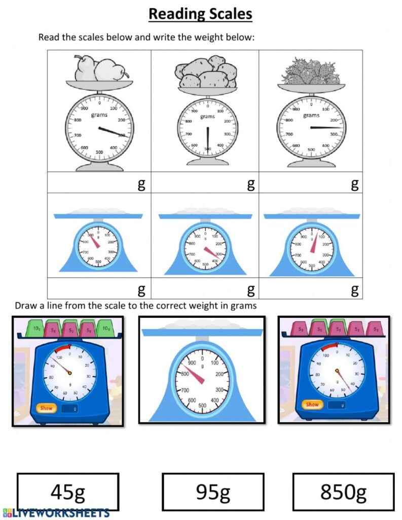 Reading Scales Worksheet