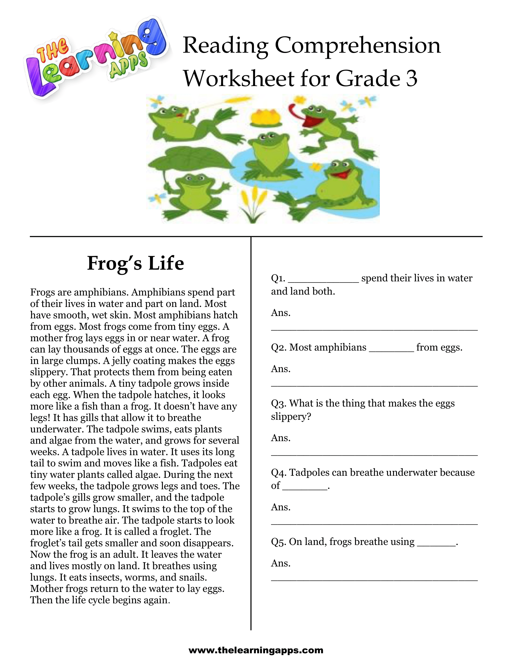 3rd Grade Printable Reading Comprehension Worksheets
