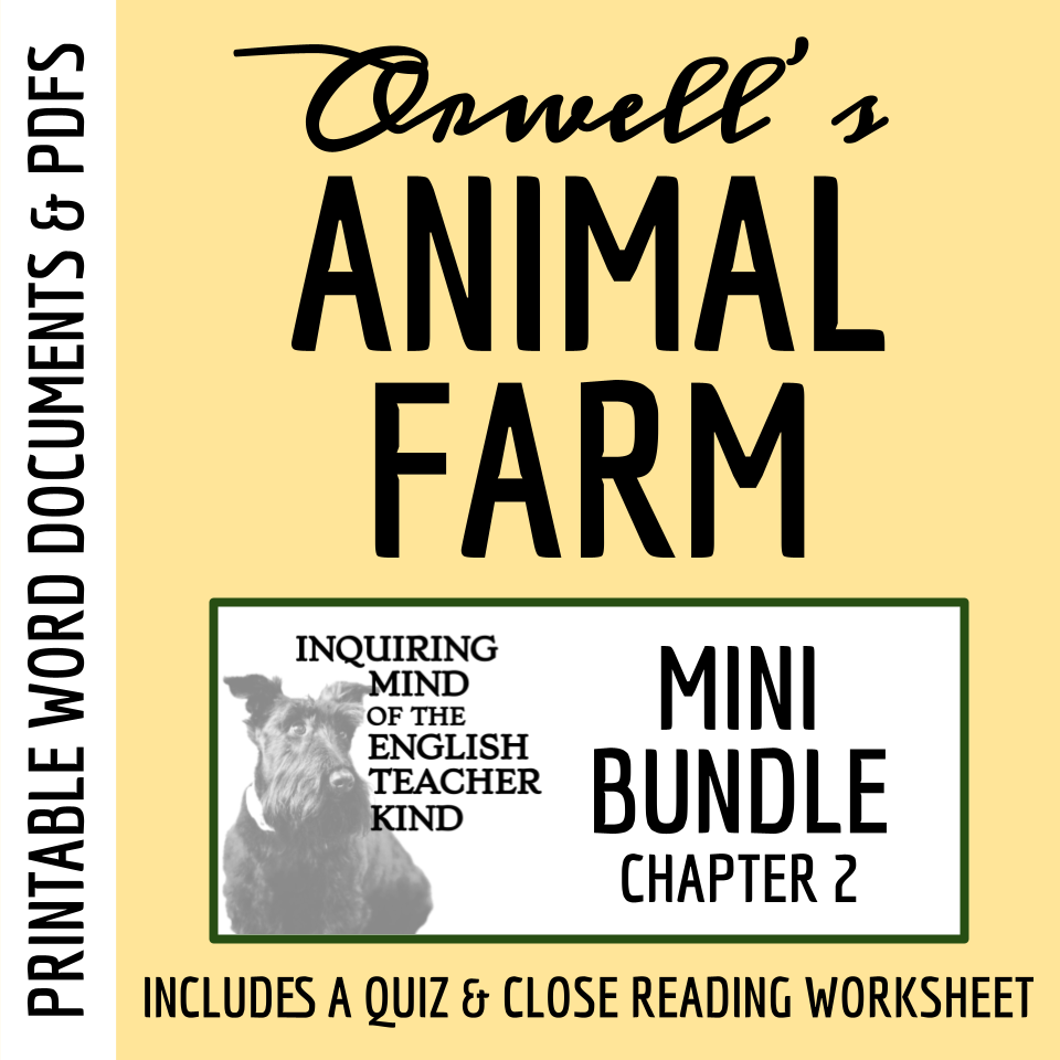 Chapter Quizzes Printable Worksheets For Reading