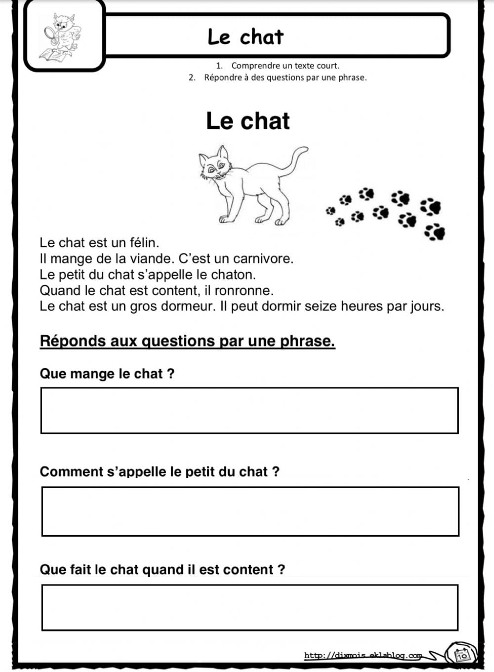 French Reading Francais Lecture Worksheet