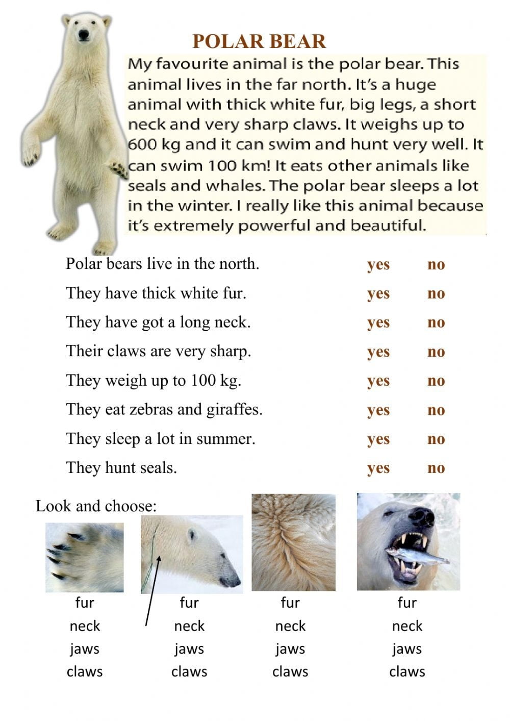 Reading Polar Bears Worksheet English For Beginners Reading Family Reading