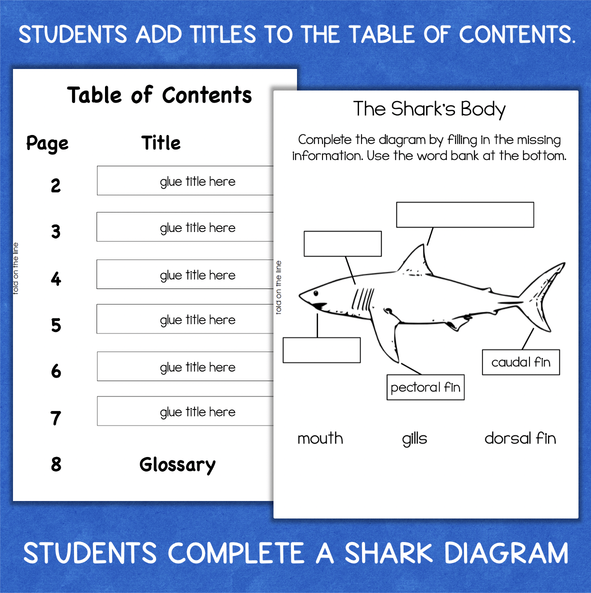Printable Free Shark Reading Comprehension Worksheets