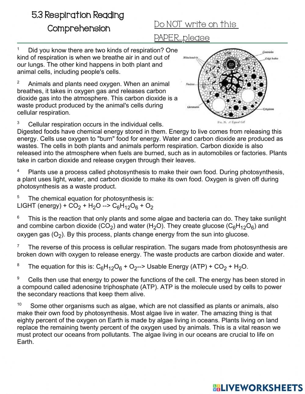 Plant And Animal Cells Reading Comprehension Worksheets Pdf