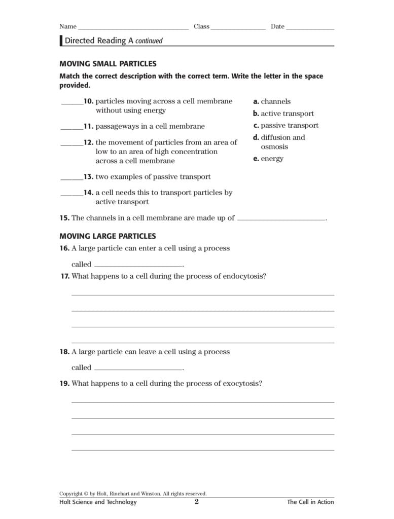 Skills Worksheet Directed Reading A Flip EBook Pages 1 4 AnyFlip