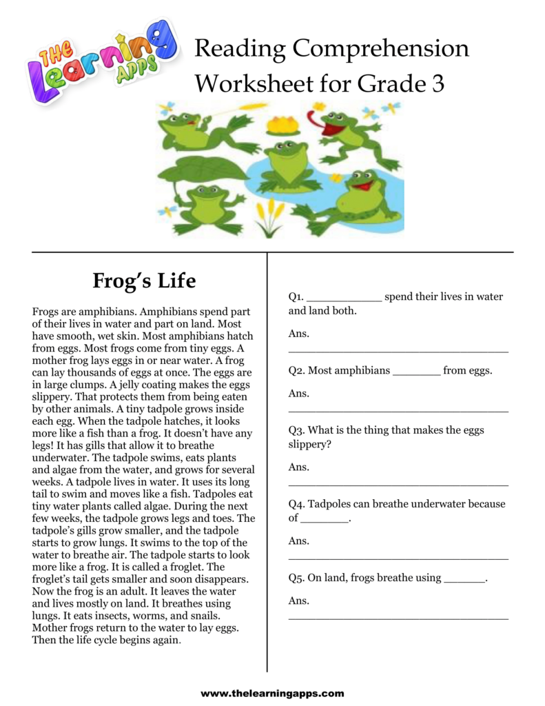 3rd Grade Reading Comprehension Printable